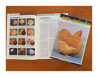 Revista Arte Avícola